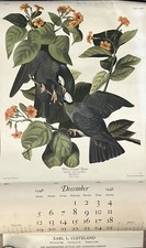 Vtg 1949 JJ Audubon Bird Wall Hanging Calendar, Nature Inspired Promo Ad Artwork picture