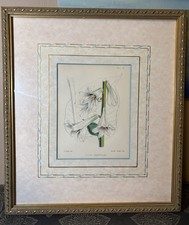Vintage Framed Floral Lilium Giganteum Vincent Brooks Imp. Print picture