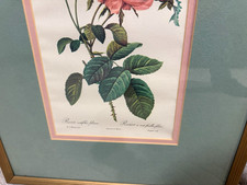 P.-J. Redouté Set of 2 Framed Matted Botanical Rose Prints Portrait picture