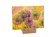 New Acrylic Picture Frame 5x7 with Oak Stand (2 Pack) picture