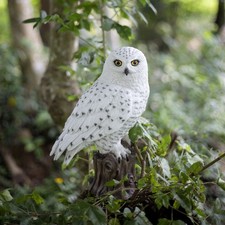 SoReal White Snowy Owl on branch | Handcrafted Decorative Bird Statue picture