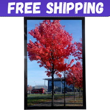 Medog 11x17 Picture Frame for Wall Black, Display pictures 11x17 Poster Frame... picture