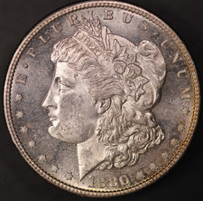 1880 S  MORGAN SILVER DOLLAR | FRESH FROM AN OLD COLLECTION | LOT BB-878 picture