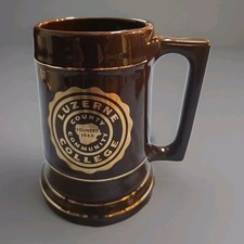 Vintage Luzerne County Community College LCCC Ceramic Beer Stein Mug Trenton NJ picture