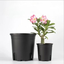 1/2/3/5/7/10/15/20 Gallon Plastic Nursery Pots Garden Plant Flower Pot picture