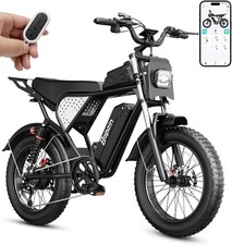 Bopzin Electric Bike for Adults 2000W 48V 20Ah 41mph All-terrain Mountain E-Bike picture