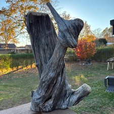 Massive Hardwood Driftwood Tree 24x11x14 – 18.5lb Dense Natural Statement Piece picture