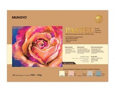 Professional Pastel Paper Pad A4 160Gsm Assorted Colors For Art 30 Sheets picture