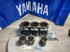 1995-1997 Yamaha Wave Venture Raider 1100 Cylinder & Piston Assy 63M-11311-00-8S picture