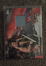 2017 Topps WWE - Summerslam 2016 Mat Relics Chris Jericho Bronze /199 (MEM) picture