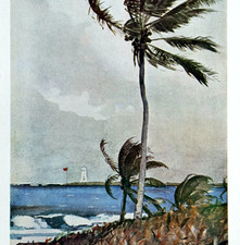 c1920-30s The Palm Tree Nassau Homer Color Plate Print Classic Antique Art Repro picture