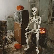 5.4ft Halloween Skeleton Full Body Life Size Skeleton Bones with Movable Joints picture