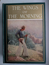 The Wings of the Morning 1924 Louis Tracy / Mead Schaeffer Illustrations picture