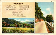 VINTAGE POSTCARD - 