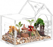 Acrylic Jumping Spider Enclosure, House-Shaped Clear Insect Terrarium picture
