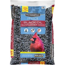 Pennington Select Black Oil Sunflower Seed Wild Bird Dry Feed, 40 lb. Bag picture