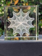 Rare Calabi-Yau Manifold 3.125
