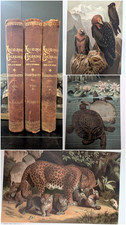 1885 J.G. Wood Animate Creation 3 Vol Set Natural History Color Plates picture