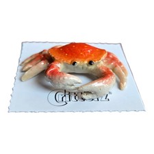 LITTLE CRITTERZ Dungeness Crab 