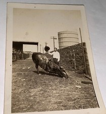 Rare Antique Western American Horse Tarzan Egyptian Prayer Trick Snapshot Photo picture