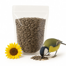 Crazy Nuts | USA Grown Raw Sunflower Seeds In Shell | Unsalted sunflower Seeds picture