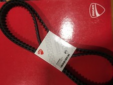 Ducati Hypermotard 821 - 73740251B Ducati Toothed Belts picture