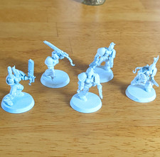 GW Warhammer 40K CSM Chaos Chosen Legionaries Female Kitbash (100% GW) Squad picture