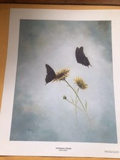 Vintage Print Titled 