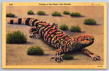 c1940s Gila Monster Denizen Desert Tucson Phoenix Arizona Postcard picture