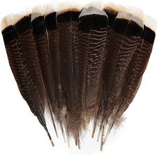 24Pcs Natural Wild Turkey Tails Feathers Quill Bulk 6-8Inch 15-20Cm for DIY Craf picture