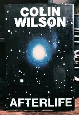 1986 Afterlife Wilson - Vintage New Age Occult Book Mystery Psychic Ghosts HC picture