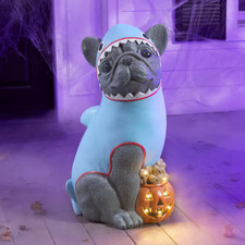 2026 Halloween Classic 2.5 Ft Gray Frenchie in Shark Costume picture