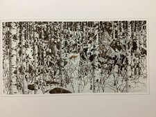 Bev Doolittle Woodland Encounter Where Silence Speaks (WSS) Limited Edition picture