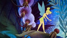 1953 RARE DISNEY PETER PAN TINKER BELL ORIGINAL PRODUCTION ANIMATION CEL DRAWING picture