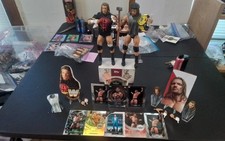 WWE Mattel Triple H Ultimate Series #3,Legends Elite Series #20,8 Topps Cards picture