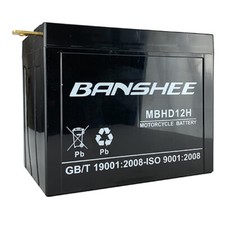 AGM Battery YHD-12H by Banshee  for Harley FL FLH 1200 1340 XLH 900/1000 (65-84) picture