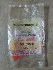 ENERPAC A8613900SR 10,000 Psi Releif  Valve Safety Valve NOS picture
