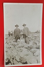 RPPC Two Men In Suits And Hats Standing In The Middle Of A Cabbage Patch picture