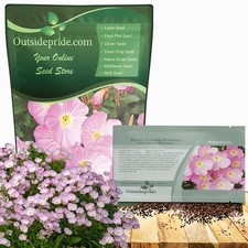 1 LB Pink Primrose Seeds For Planting - Showy Evening Primrose Flower Seed picture