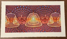 Alex Grey NET OF BEING Art Print S/# 300 wCOA Tool Stage Concert Poster Backdrop picture