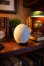 Genuine Ostrich Egg Shell Natural Specimen w Black Display Stand 5” Decor picture
