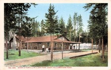 Yellowstone Shaw Powell Willow Park Camp Log Cabin Vtg Postcard J68 picture