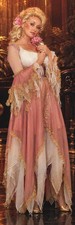 GIANT 2’X6’ VINYL BANNER - DOLLY PARTON picture