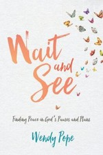 Wait and See: Finding Peace in God's Pauses and Plans - Wendy Pope picture