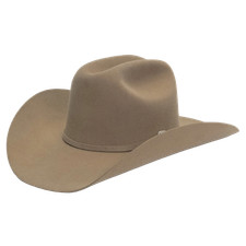 Stetson Men's Skyline 6X Sahara Beige Felt Hat SFSKYL-7540E5 picture