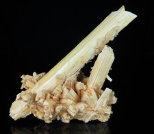 Gorgeous LAUMONTITE crystals * Pine Creek Mine, Scheelite, California picture