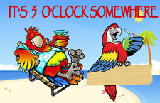  its 5 o clock somewhere flag Jimmy buffet party cocktail beer  3'X5' FEET  picture