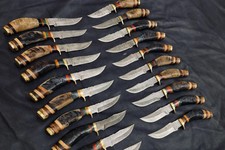 LOT OF 20 8 INCH HANDMADE DAMASCUS STEEL SKINNER KNIFE RAMS HORN HUNTING KNIFES picture