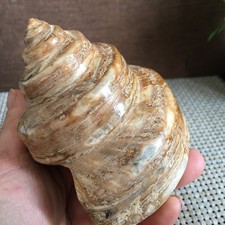 a 424g   natural crystal Stone sculptor decoration  Specimen  fb1239 picture