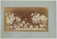 Paris Floral still-life original albumen photo A. Calavas 1870c XL458 picture